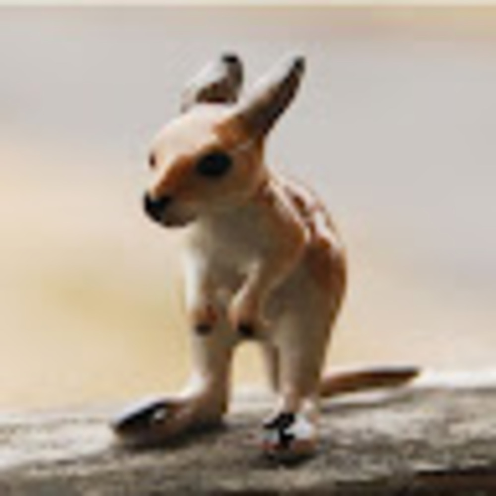 Meet your Posher, Francisco